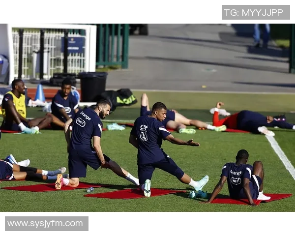 成都足球队以56分领跑欧锦赛积分榜展现强劲实力