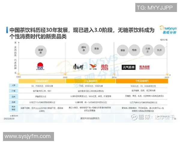 南京排球队在杯赛中的强势表现与未来展望分析